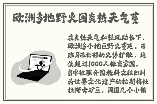 M错了夹纸罚站