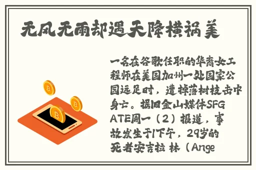 国产视频网