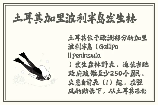 佛帐潮绣凸浮双龙耳帐